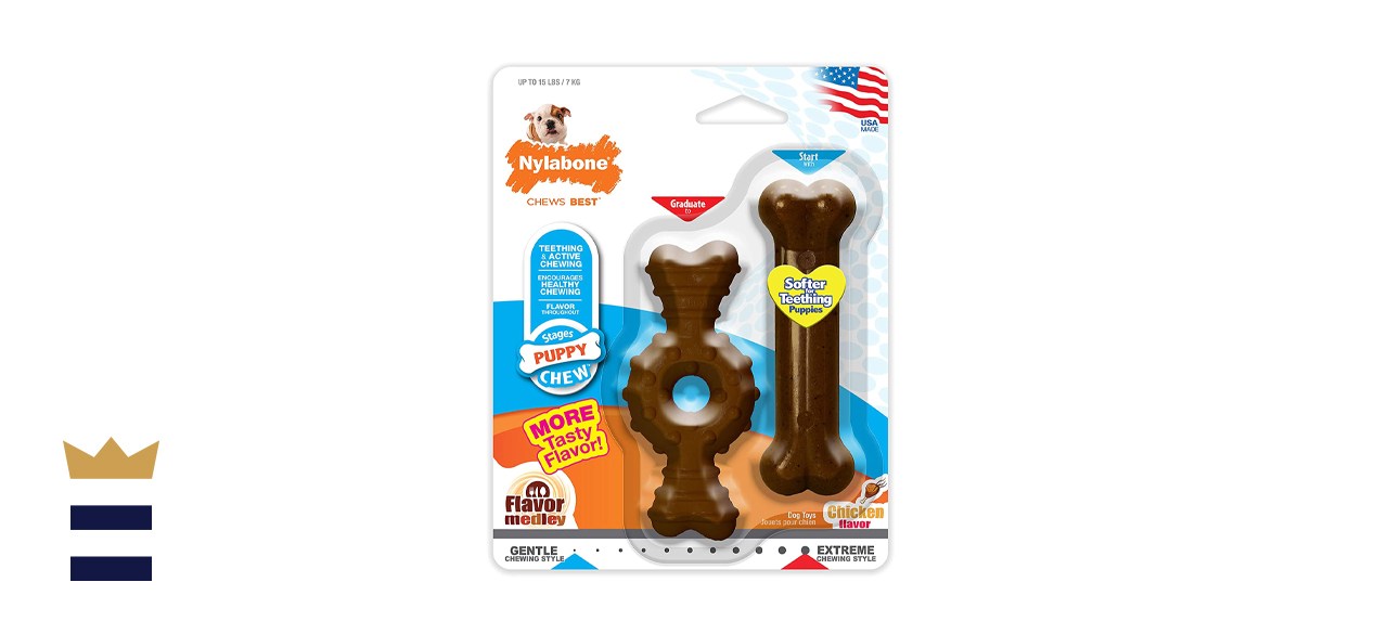 nylabone lawsuit