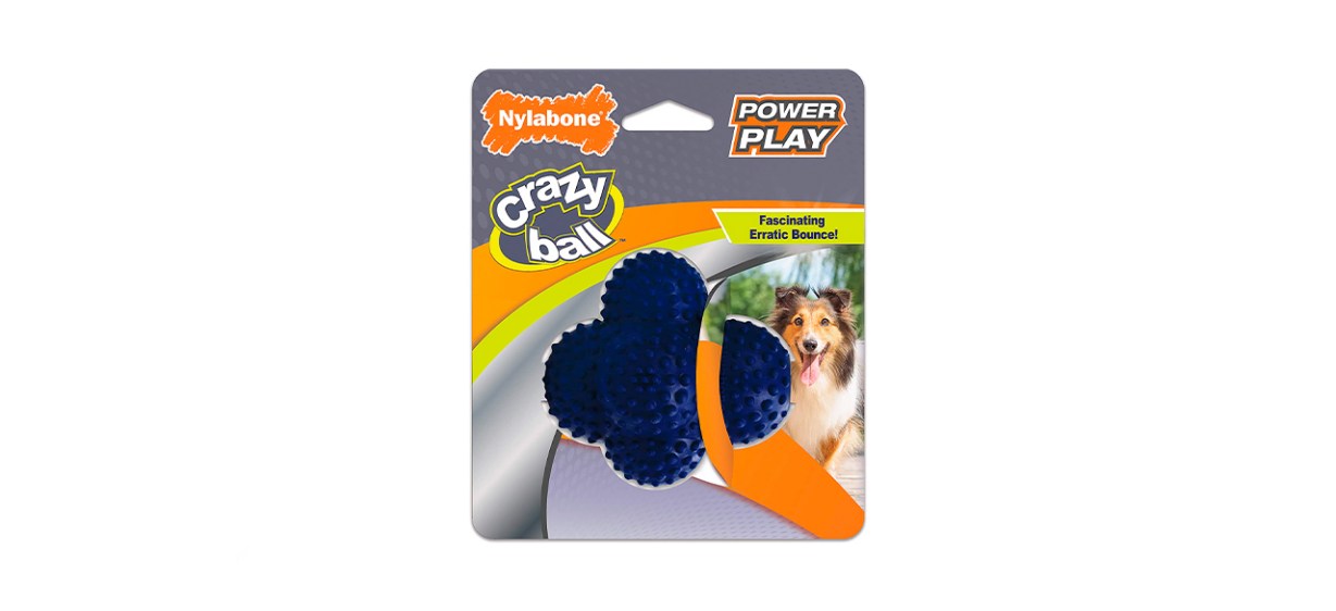 Nylabone Power Play Crazy Ball Dog Toy, Large