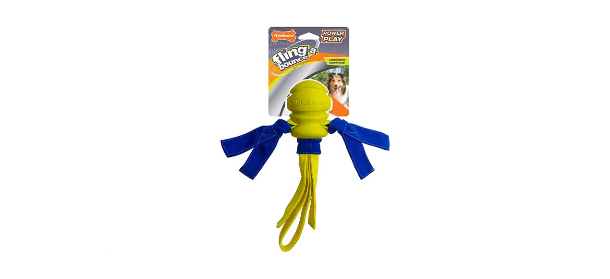 Nylabone Power Play Crazy Ball Dog Toy, Large