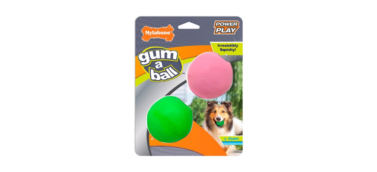 Nylabone Power Play Crazy Ball Dog Toy, Large