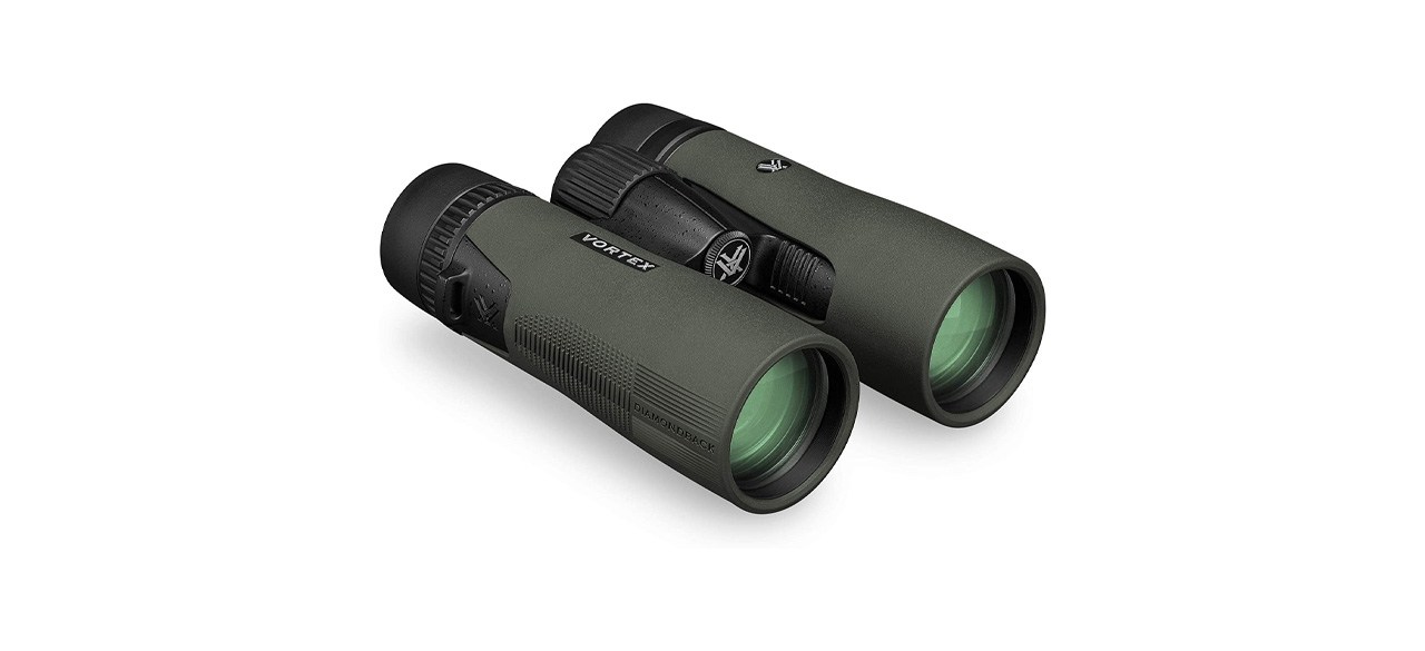 Best Vortex Diamondback HD 10x42 Binoculars