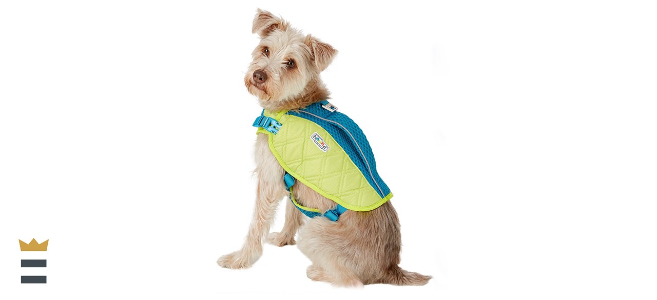 Outward Hound Standley Sport Dog Life Jacket