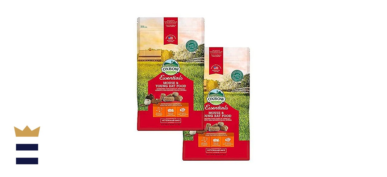 The best mouse food FOX31 Denver