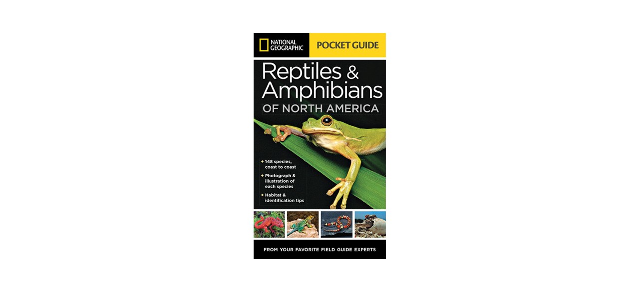 Best National Geographic Pocket Guide to Reptiles and Amphibians of North America