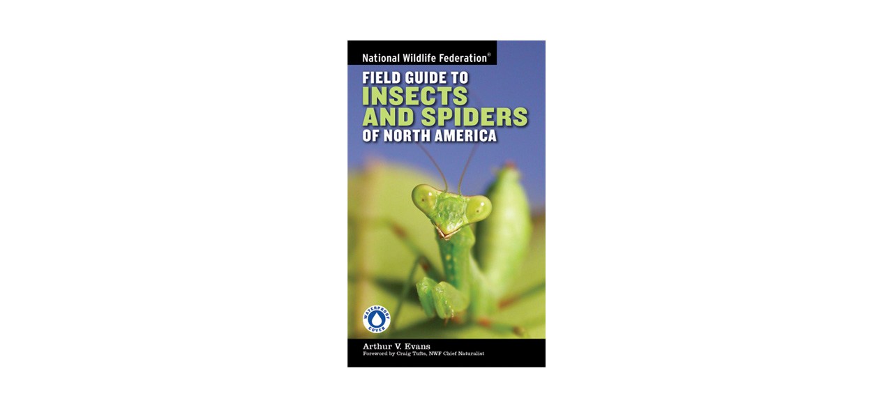 Best National Wildlife Federation Field Guide to Insects and Spiders & Related Species of North America