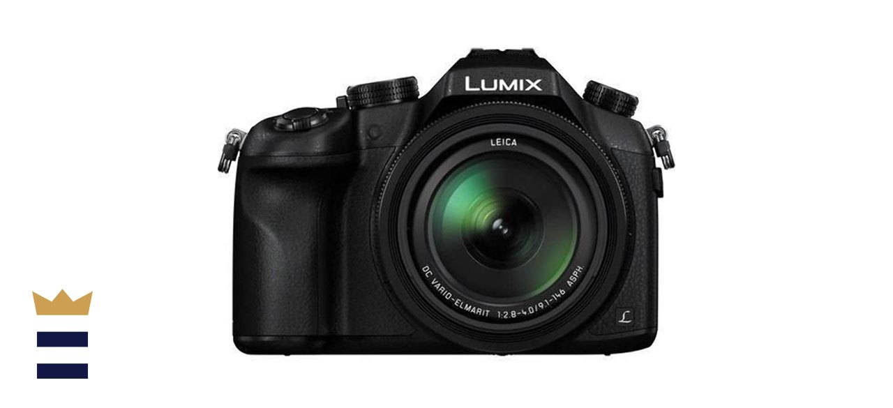 Panasonic lumix dmc fz72 примеры фото