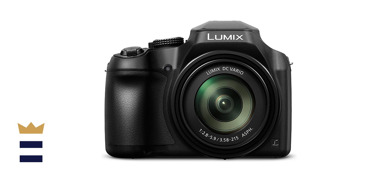 Panasonic LUMIX FZ80