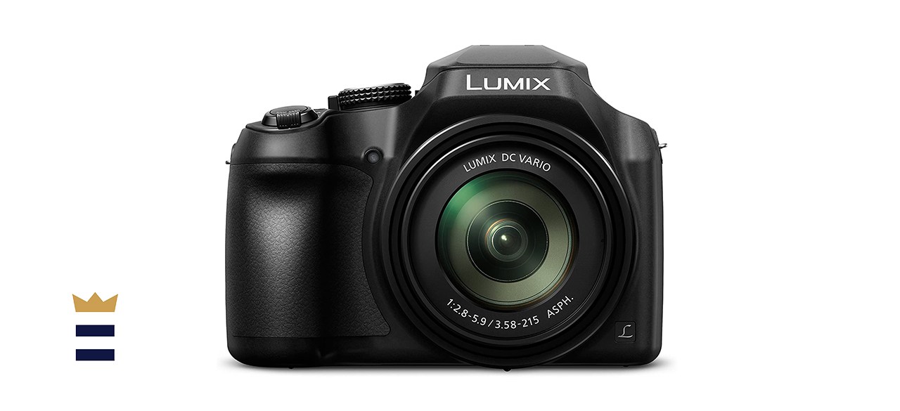 Panasonic LUMIX FZ80 4K Digital Camera 