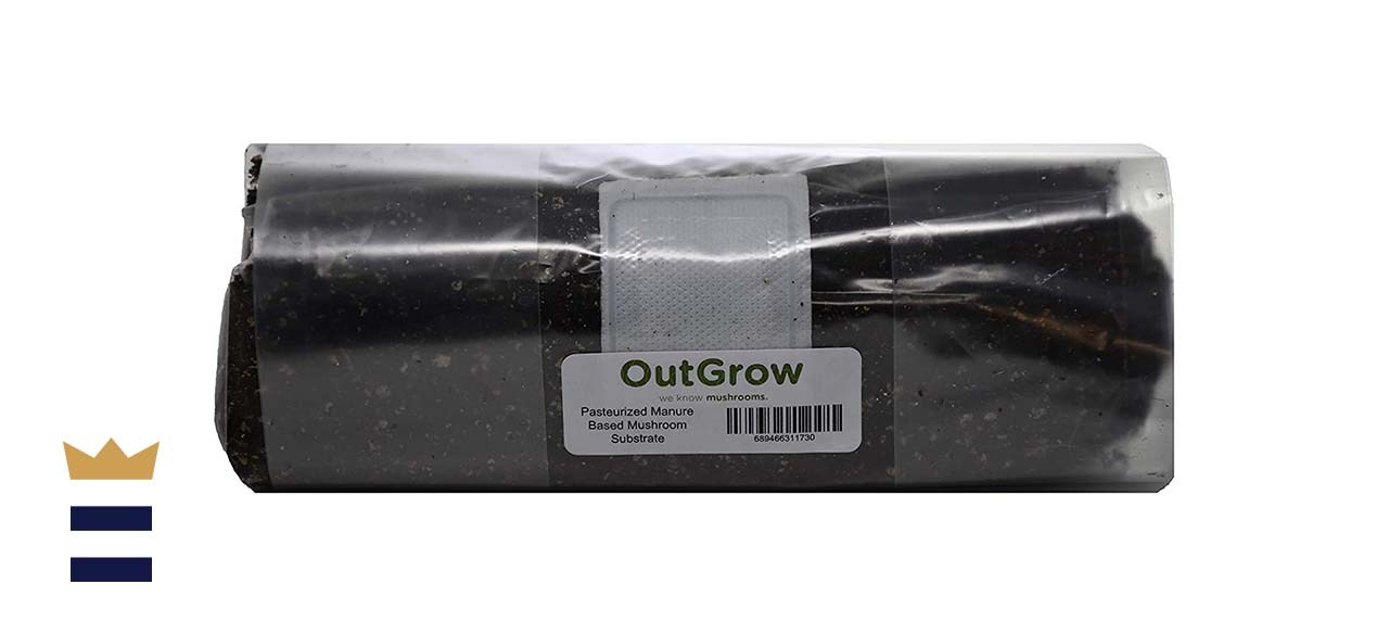 Pasteurized Manure-Based Mushroom Substrate in Mushroom Grow Bag