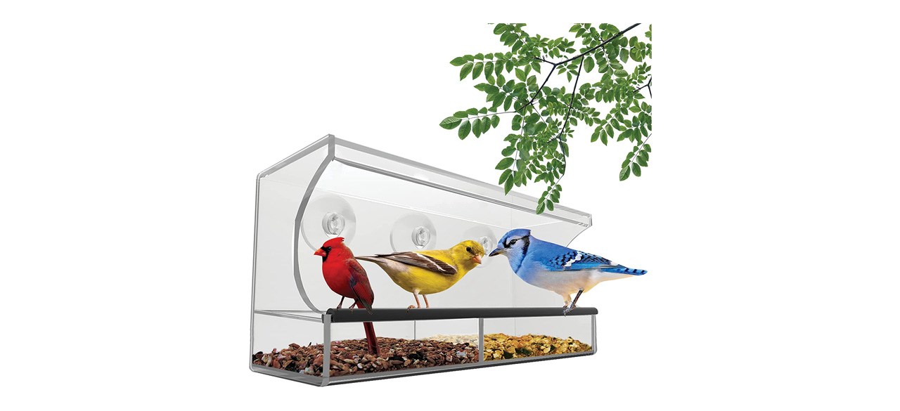 Patio-Best Nature's Hangout Clear Window Bird Feeder