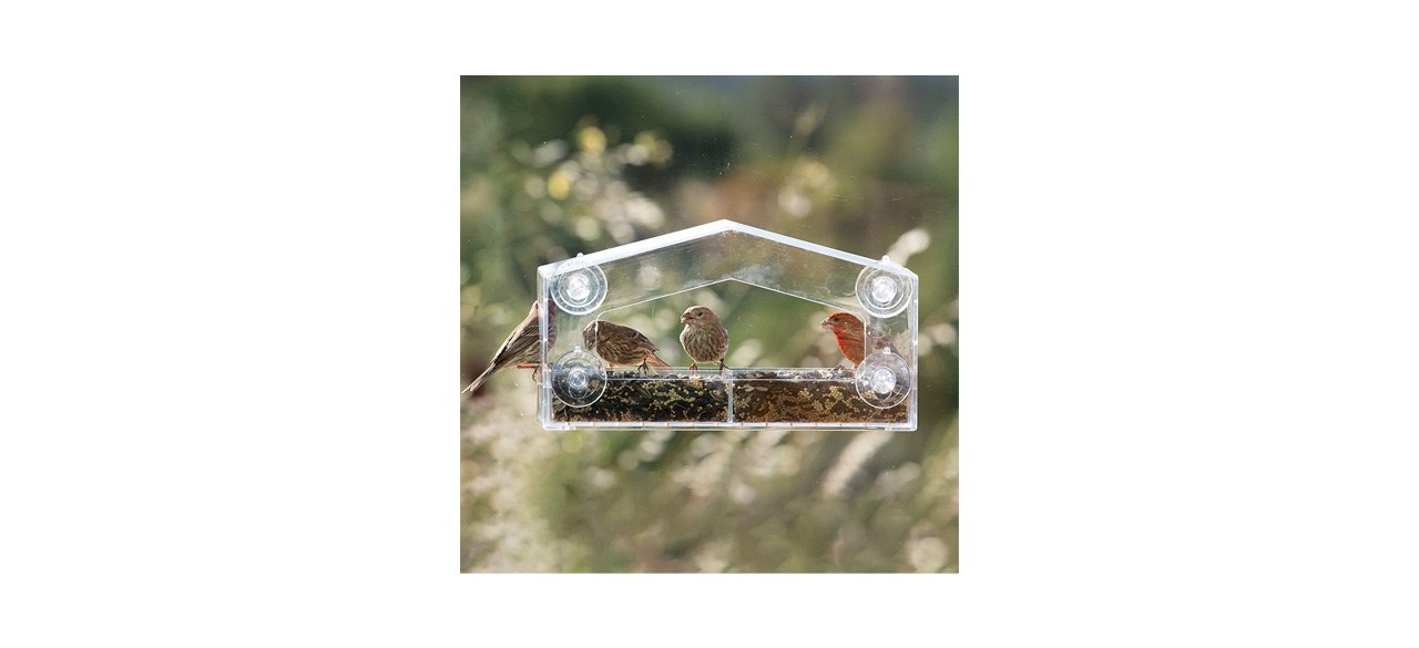 Patio-Best Perky Pet Window Bird Feeder