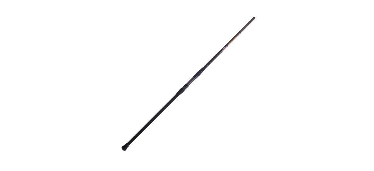 best Battalion II Surf Spinning Rod