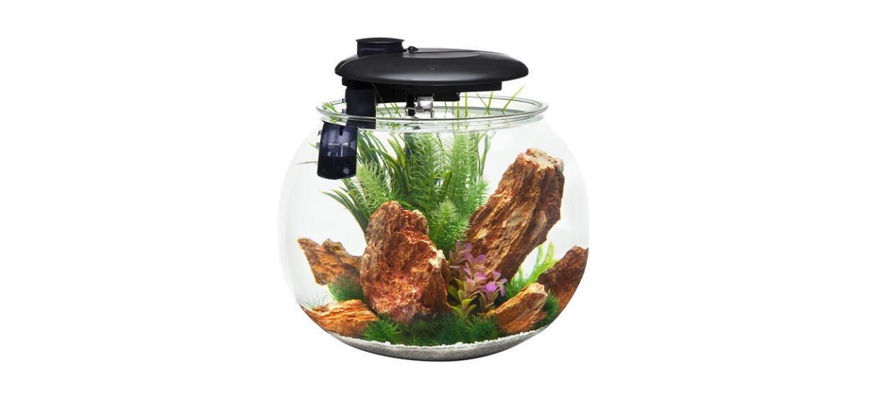 Penn-Plax Aquasphere 360 Fish Aquarium