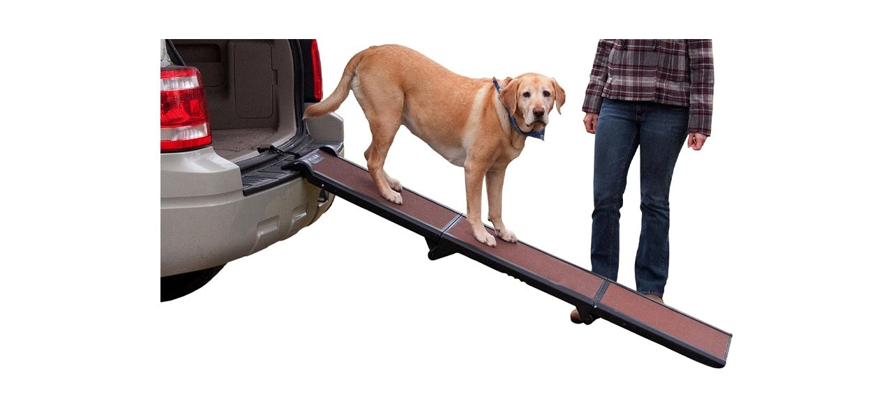 Pet Gear Portable Full Length Ramp 