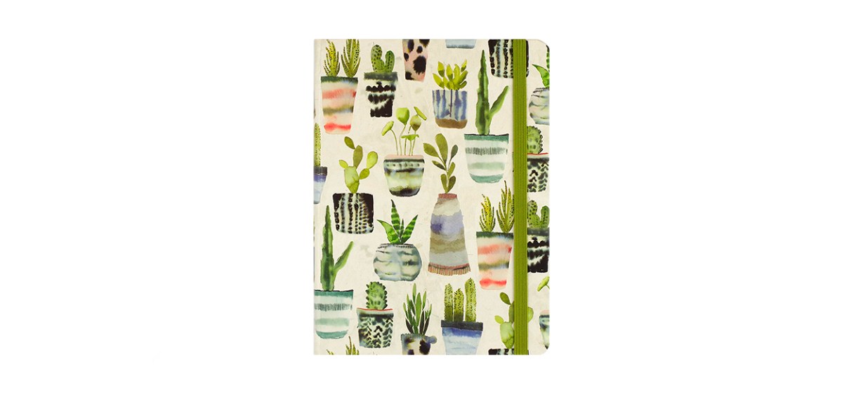 Best Peter Pauper Press Watercolor Succulents Journal Best Peter Pauper Press Watercolor Succulents Journal