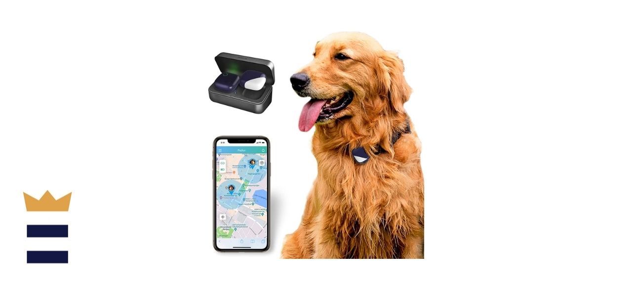 Petfon GPS Real-Time Pet Tracker