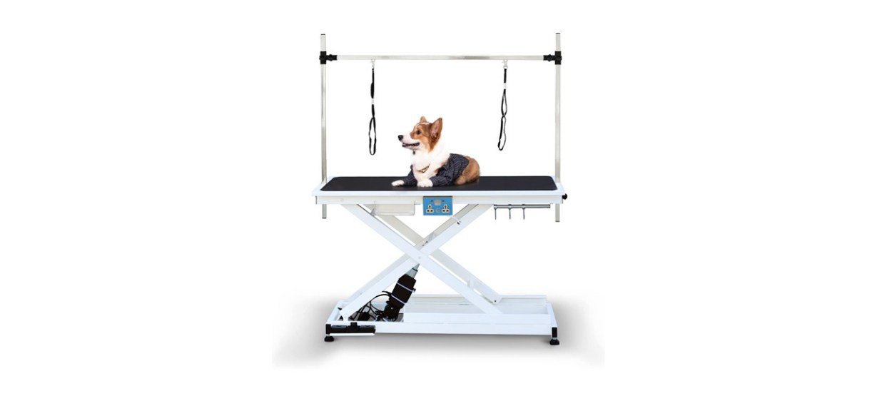 Soar Flash Electric Lift Pet Dog Grooming Table