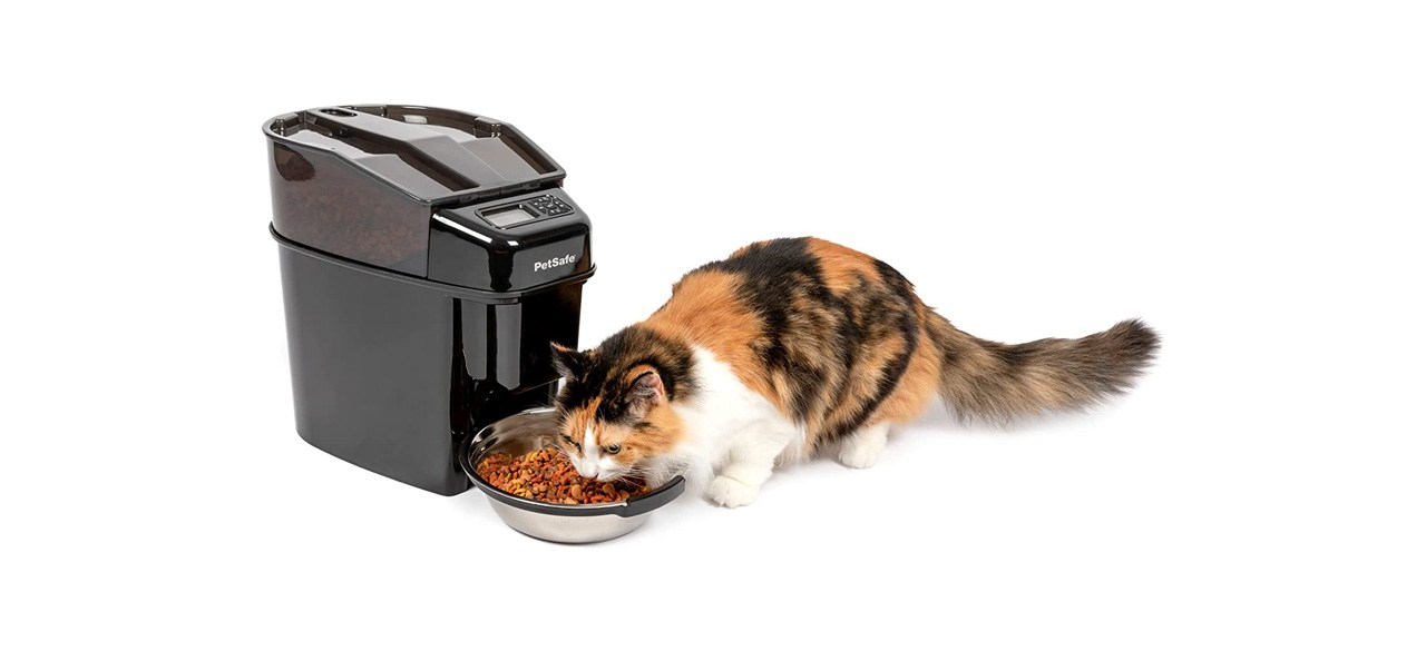 Vacation cat feeder sale