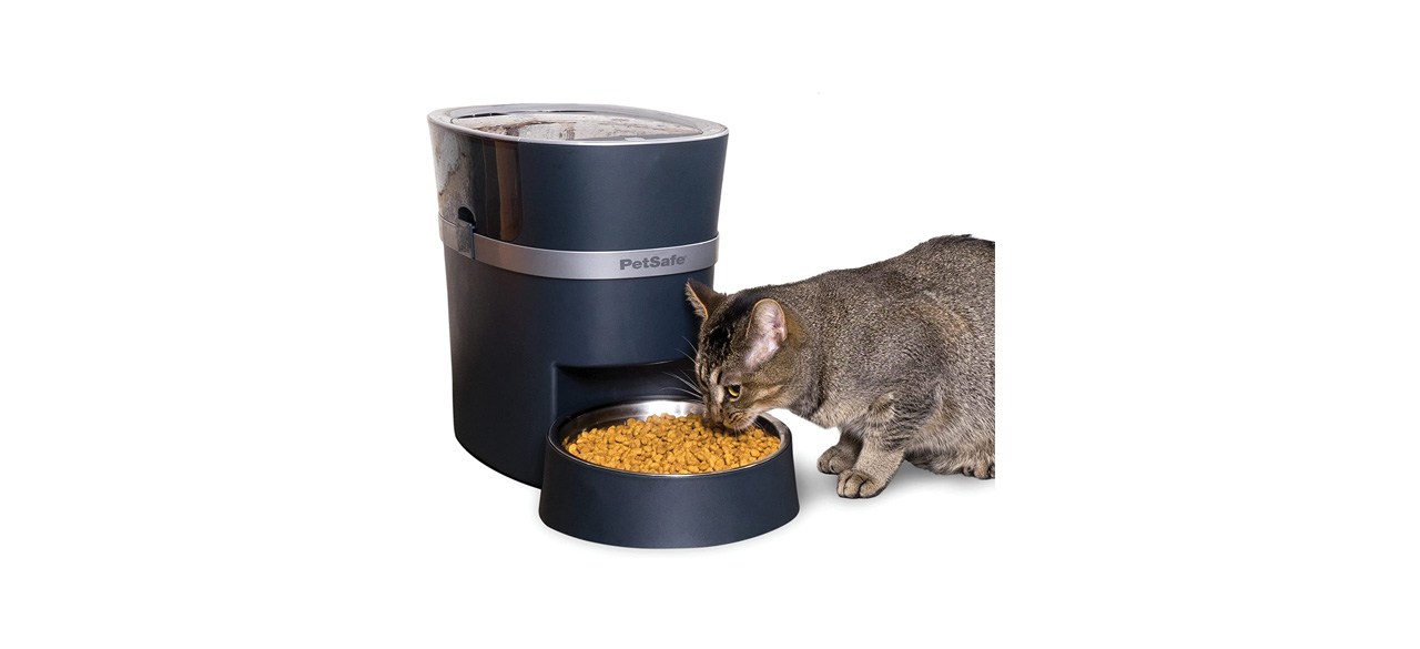 Cat feeder 2025 for vacation