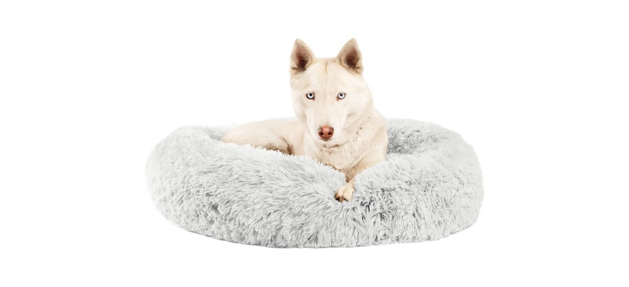 Best Friends by Sheri The Original Calming Donut Cat and Dog Bed