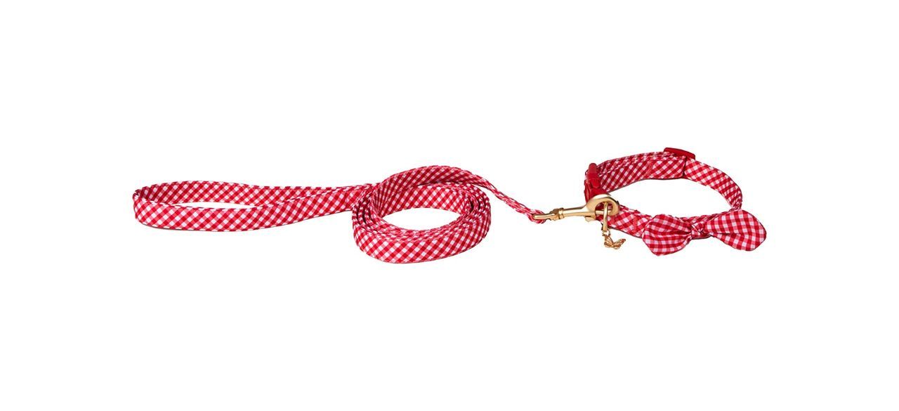 Dolly Doggy Parton Red Gingham Dog Collar and Leash Set