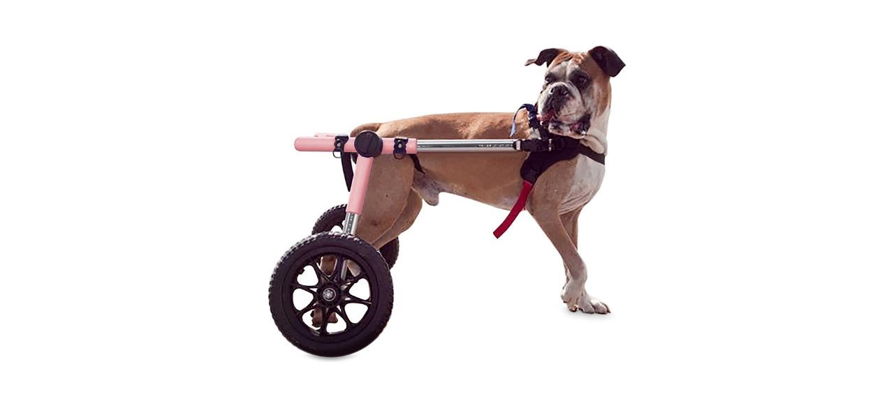 Walkin' Wheels Dog Wheelchair