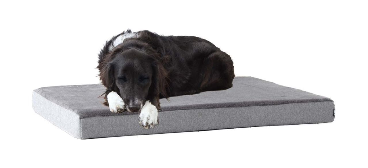 Barkbox Memory Foam Platform Dog Bed