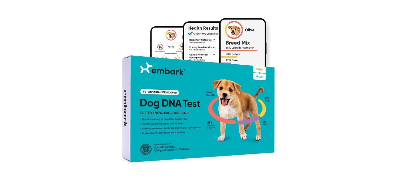 Embark Dog Breed and Health DNA Test