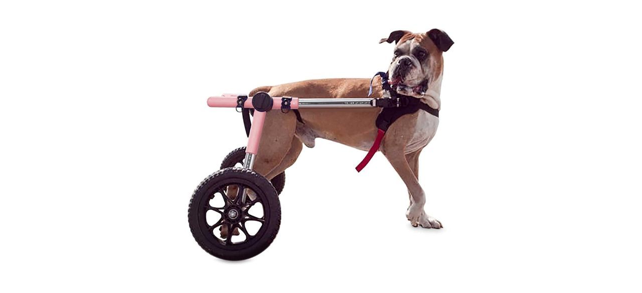 Walkin' Wheels Dog Wheelchair