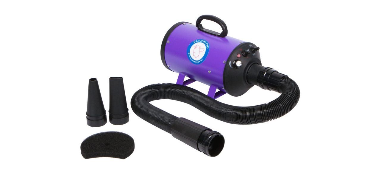 Flying Pig High-velocity Dog Grooming Dryer with Heater