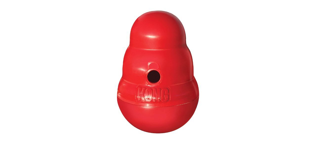 Kong Wobbler Dog Toy