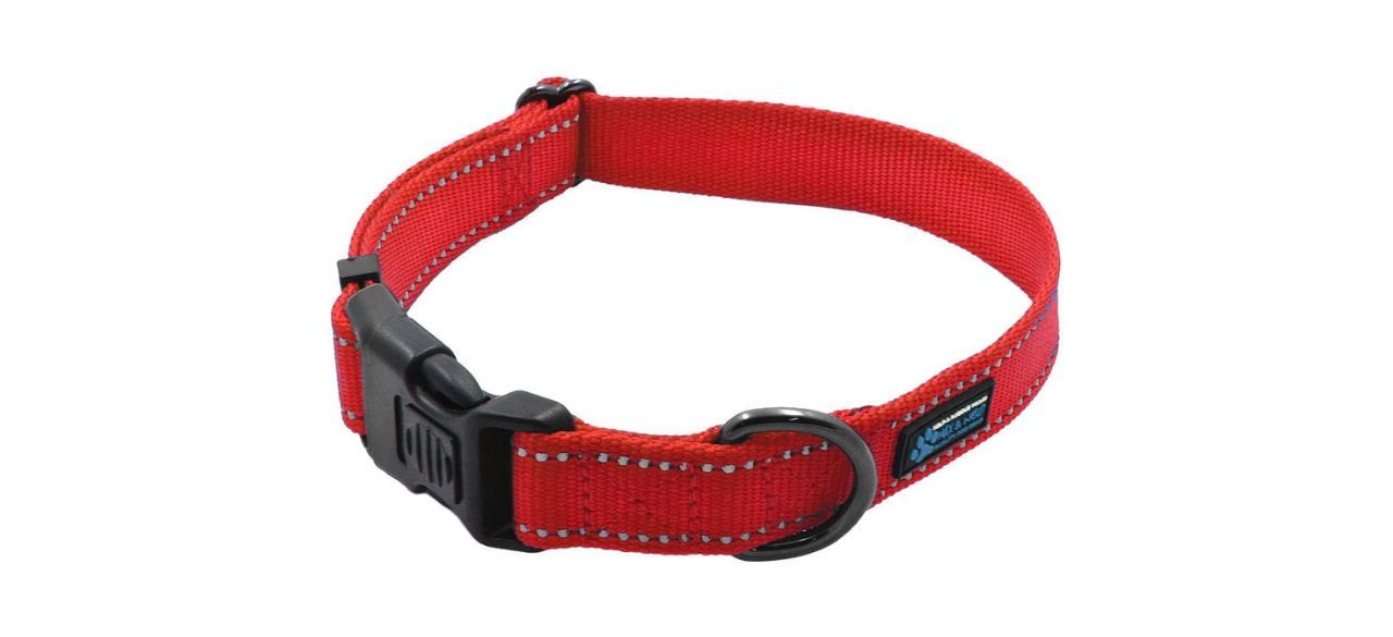 Max and Neo Nylon Buckle Reflective Dog Collar