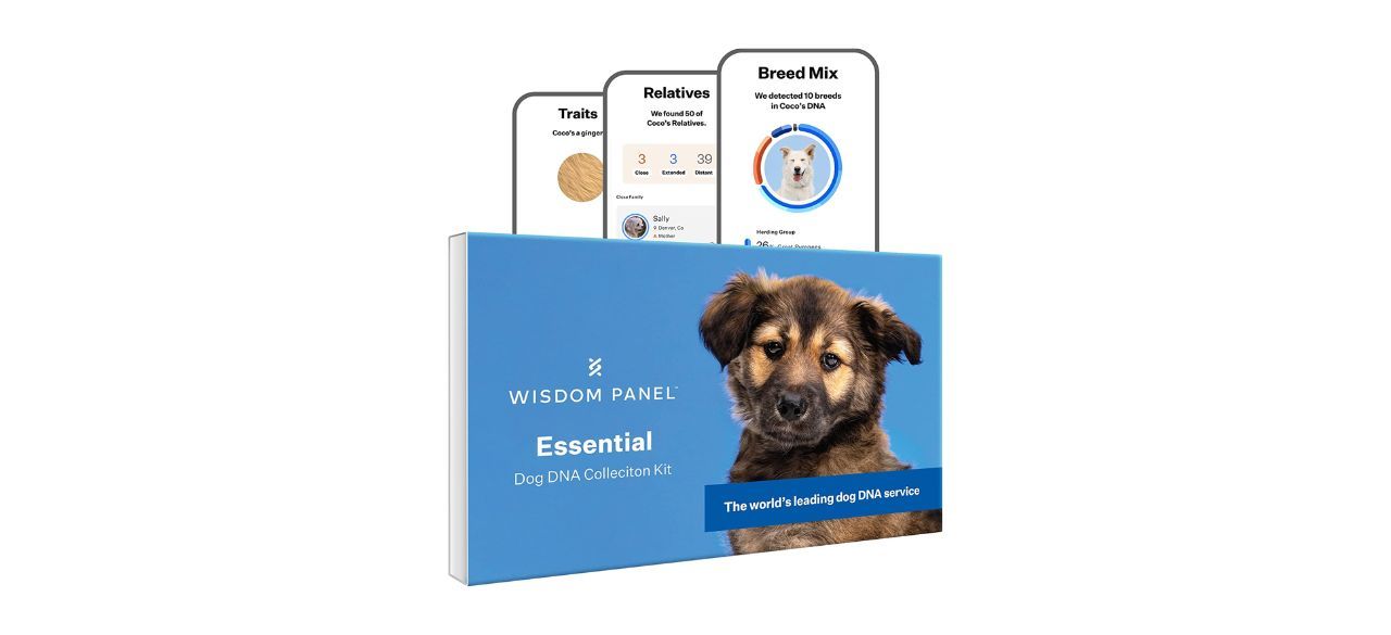 Wisdom Panel Essential Dog DNA Test