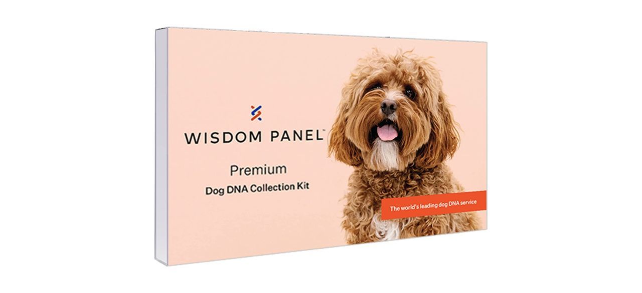 Wisdom Panel Premium Dog DNA Test 