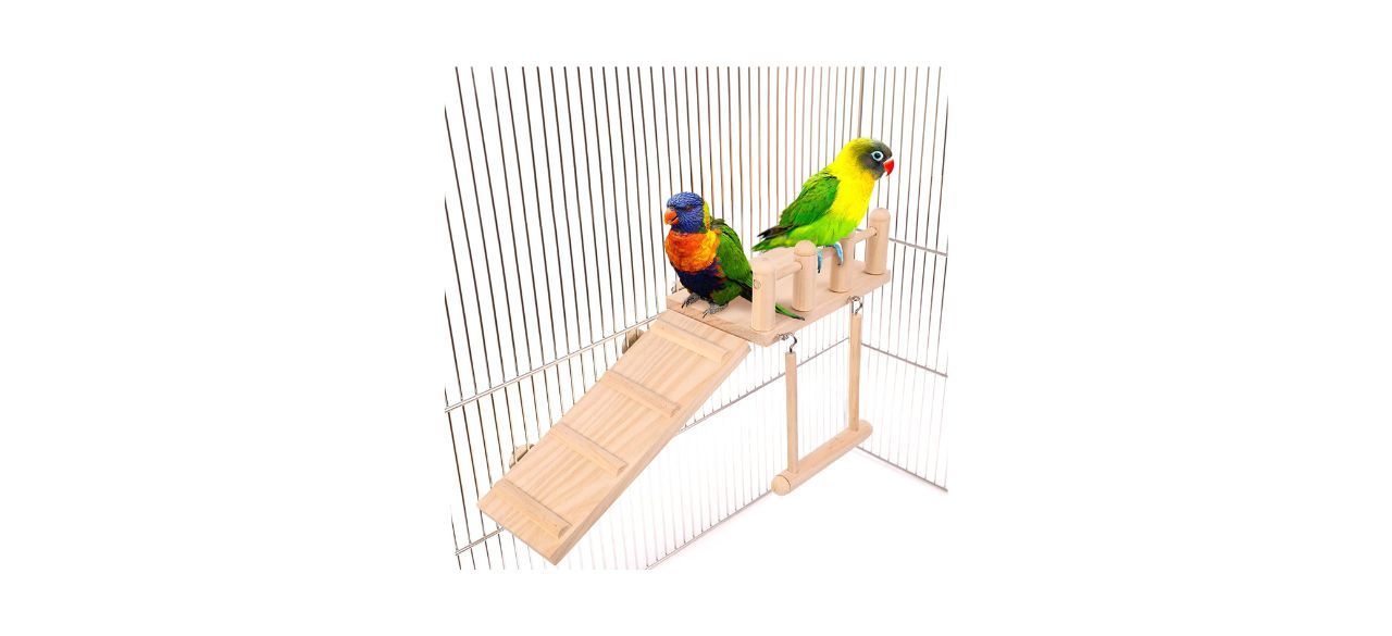 Adnikia Bird Perch with Climbing Ladder