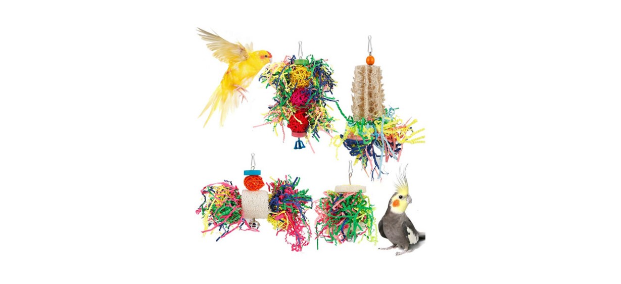Best Iovyococo Bird Shredding Foraging Toys