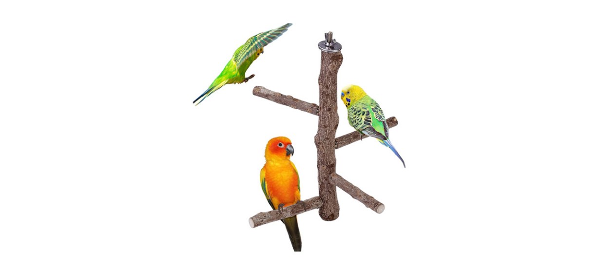 Best Mogoko Hanging Branch Perch