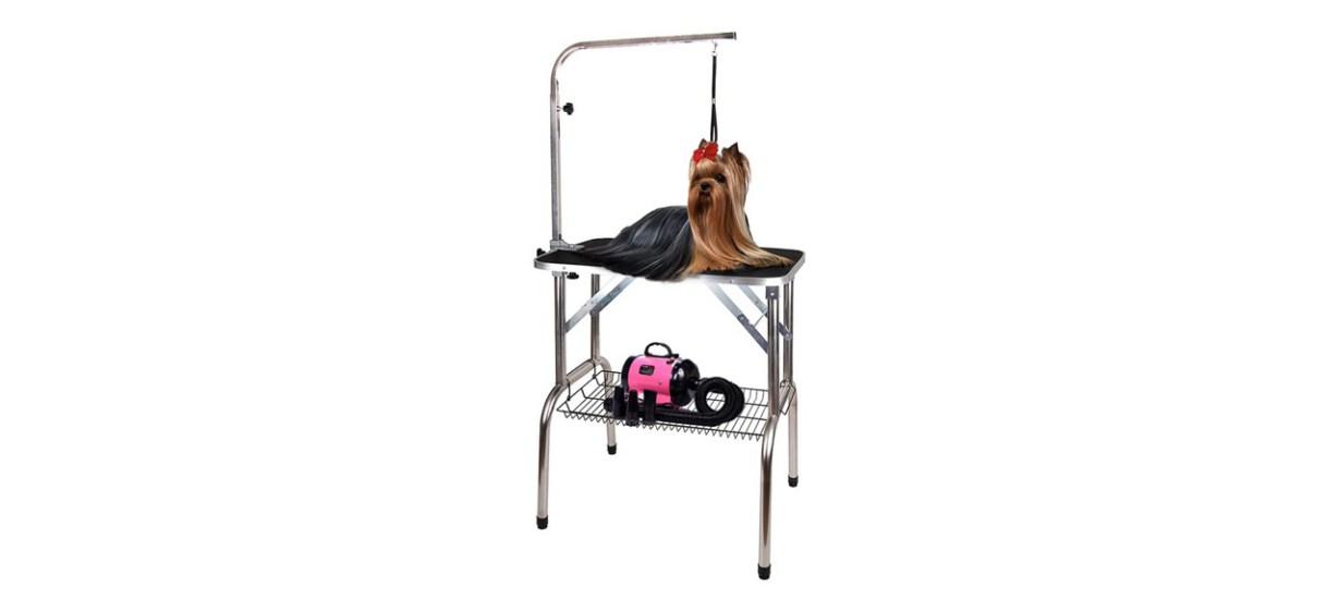 Best Polar Aurora Pingkay Foldable Grooming Table