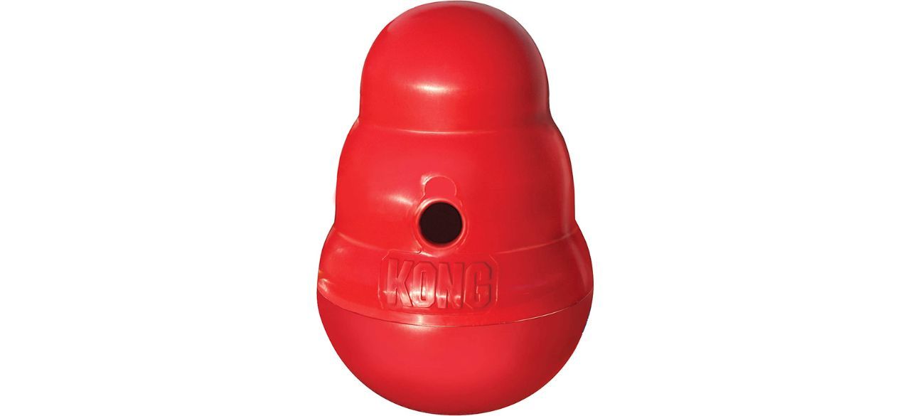 best Kong Wobbler Interactive Dog Toy