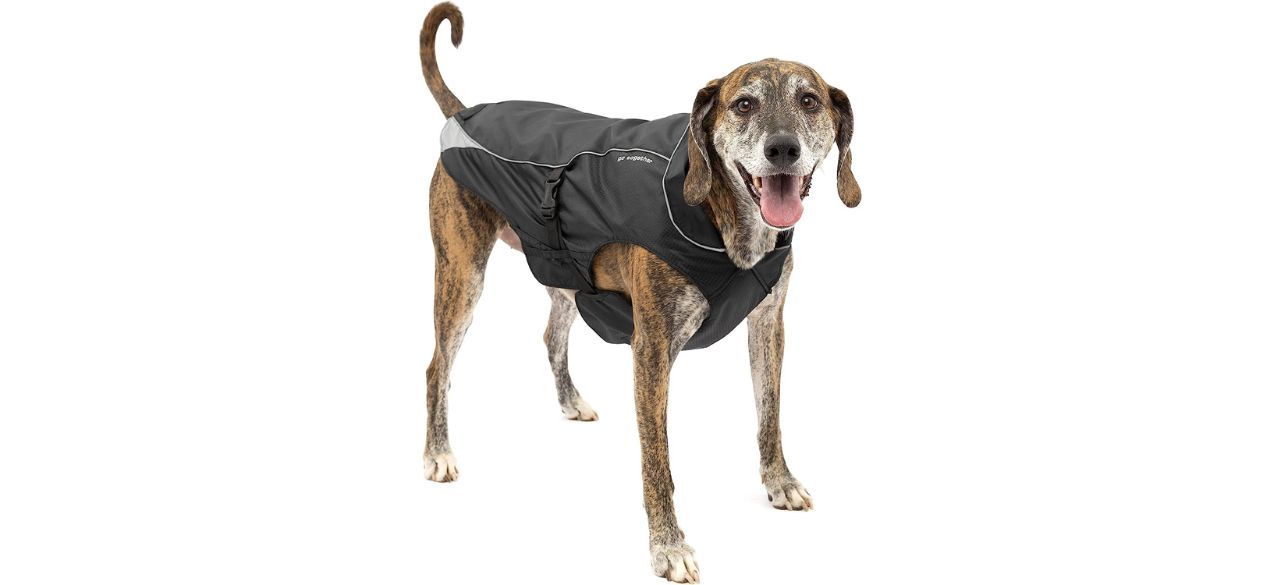 best Kurgo North Country Dog Coat