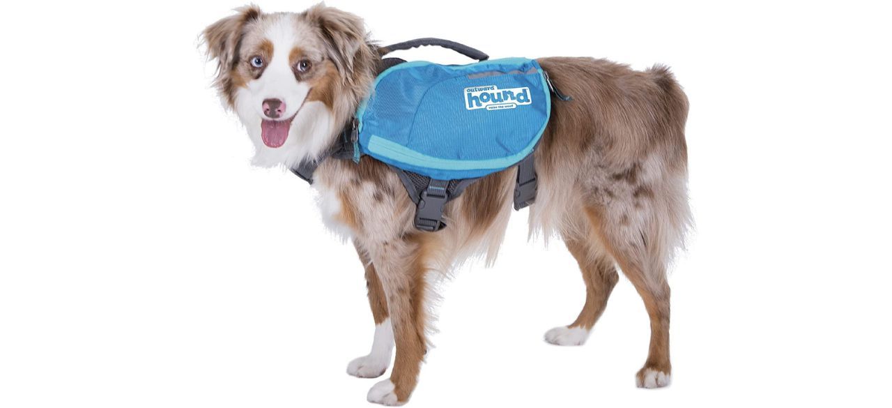 best Outward Hound Lightweight Dog Backpack