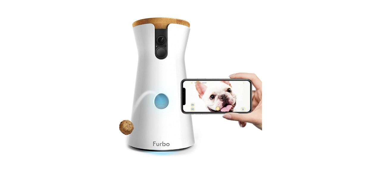 best Furbo Dog Camera