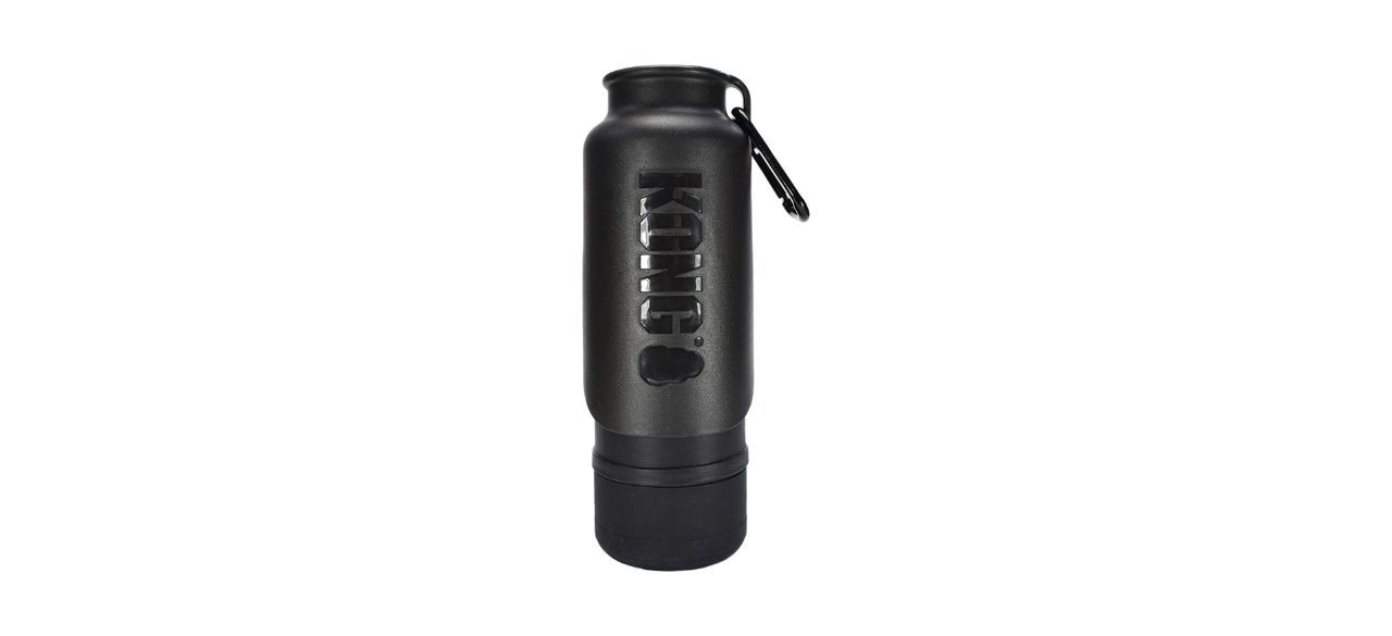 Best Kong H2O Water Bottle