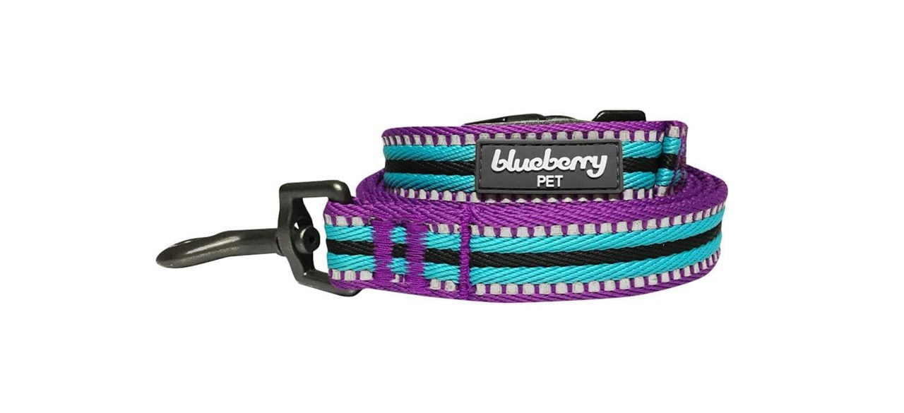 Best Blueberry Pet 3M Reflective Multi-Colored Dog Leash