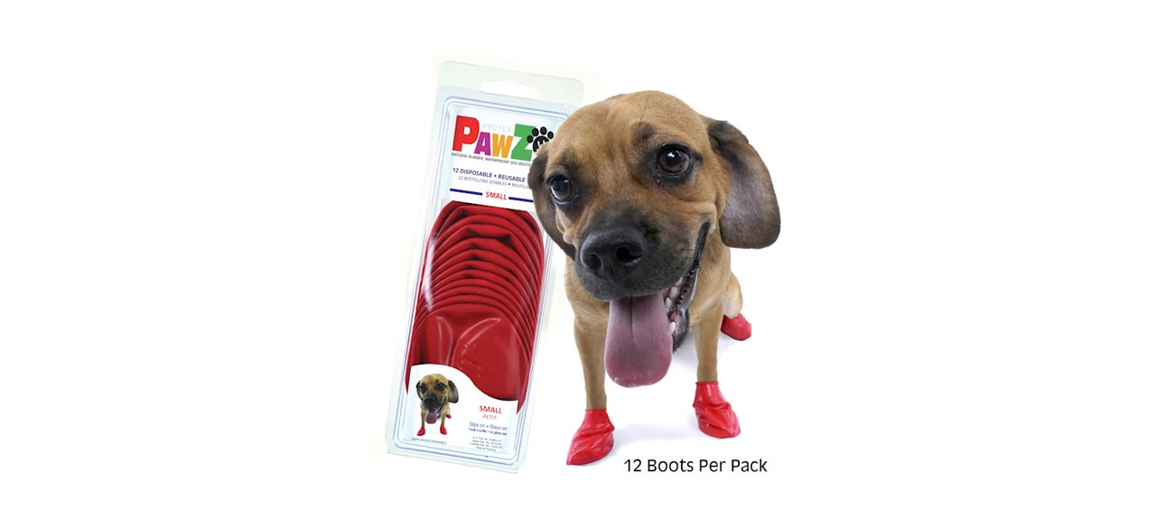 are shoes for dogs good