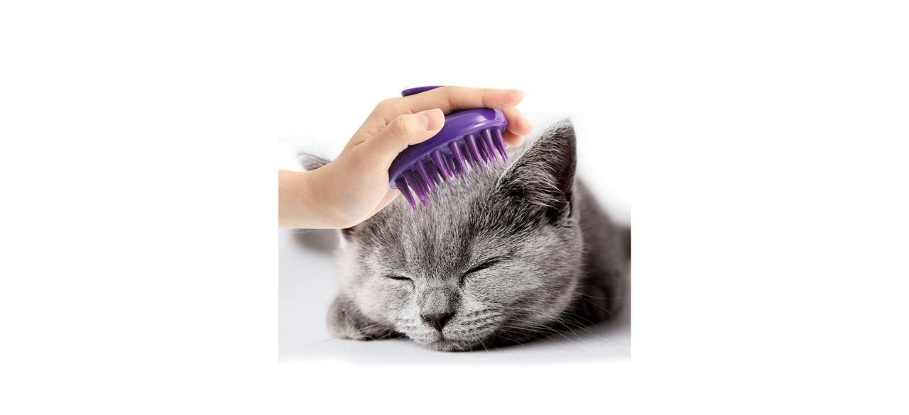 CeleMoon Cat Brush