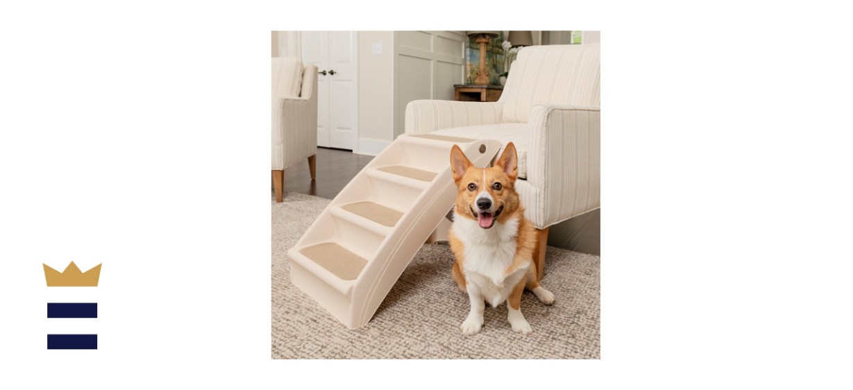 PetSafe CozyUp Foldable Cat &amp; Dog Stairs