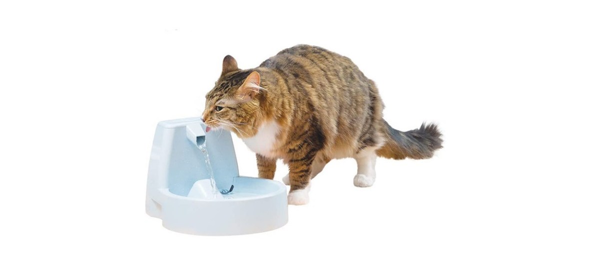 PetSafe Drinkwell Original Pet Fountain