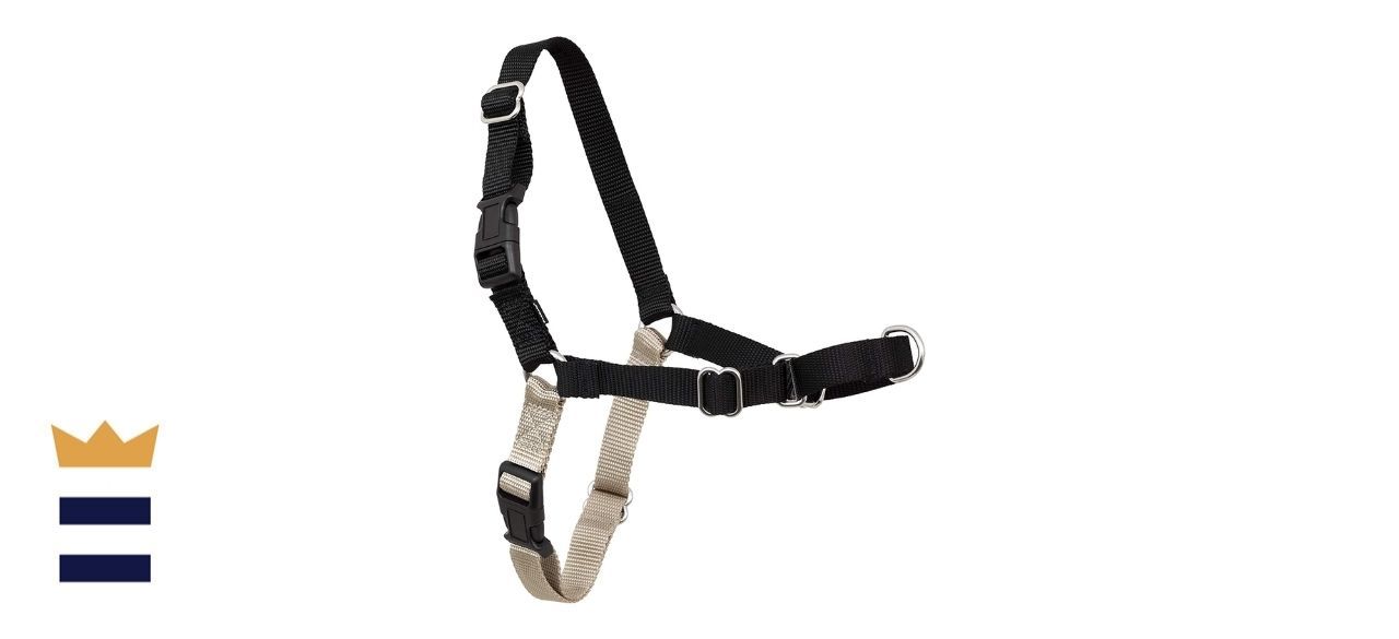 PetSafe Easy Walk Dog Harness