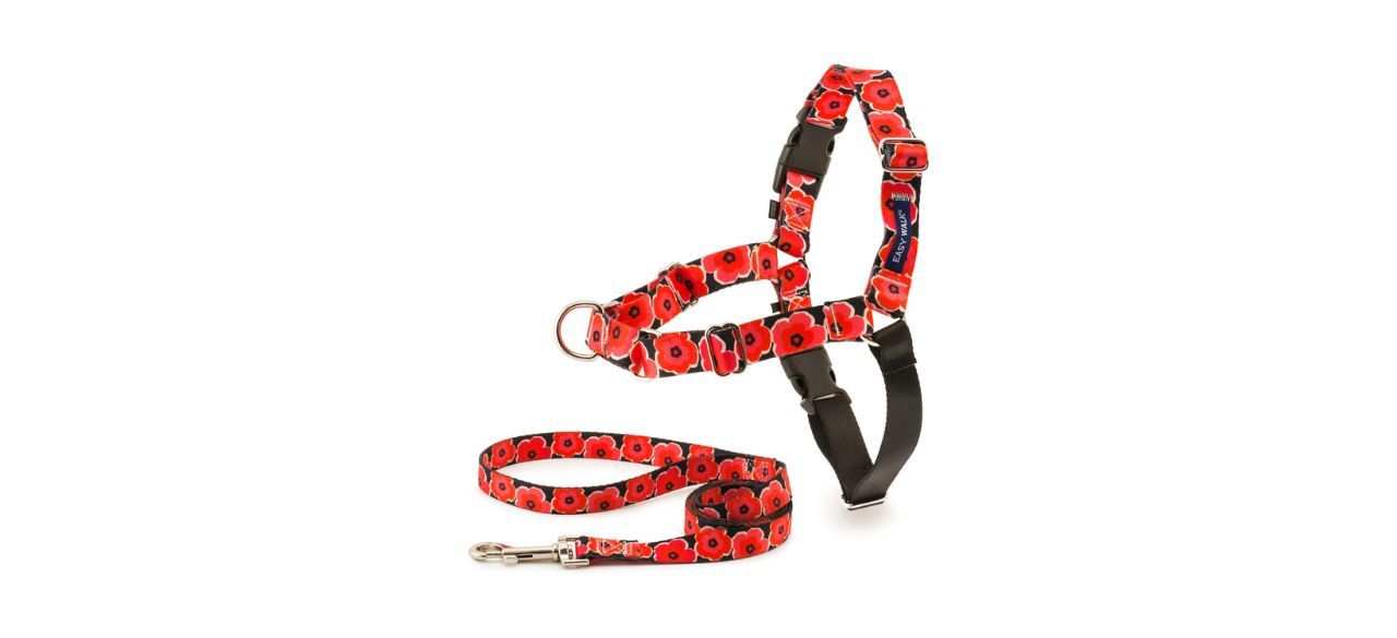 PetSafe Easy Walk No Pull Dog Harness